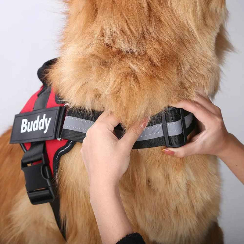 Coleira Peitoral Personalizada para Cachorros com Tags - Safe Buddy
